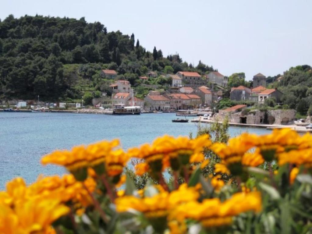 Guest House Simunovic Sudurad ภายนอก รูปภาพ